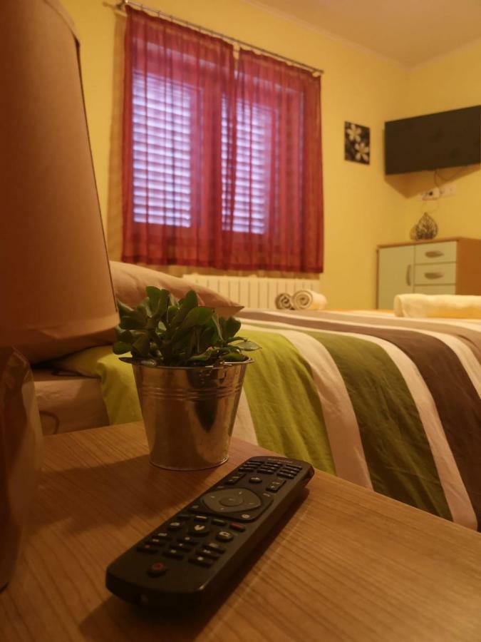 Apartman Roza プロチェ エクステリア 写真
