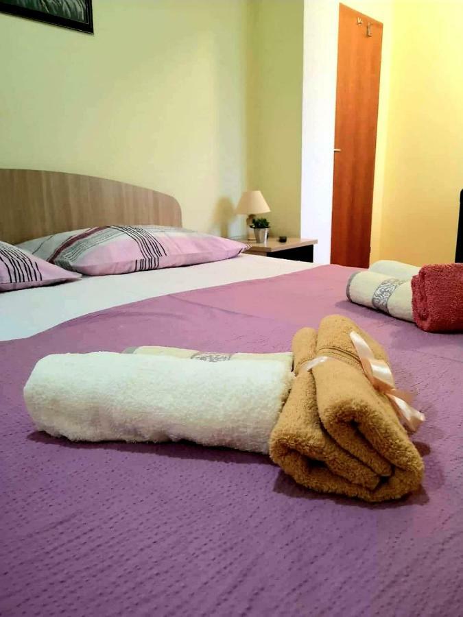 Apartman Roza プロチェ エクステリア 写真