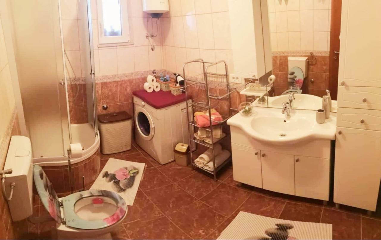 Apartman Roza プロチェ エクステリア 写真